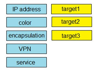 300-415 Hottest Certification